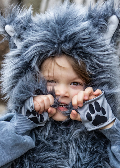 Big Bad Wolf Vest & Gloves | Size 3-4