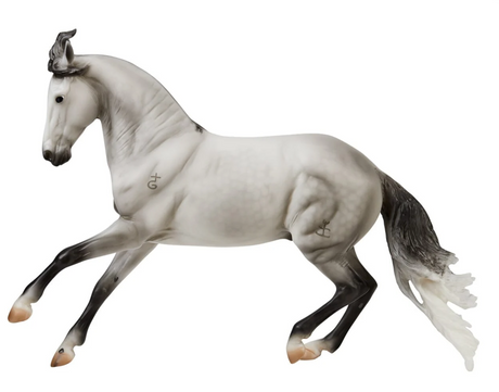 Jaguel Hilton Criollo Stallion gray horse model leaping forward