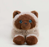 Warmies | Siamese Cat plush toy with brown and cream fur and bright blue eyes