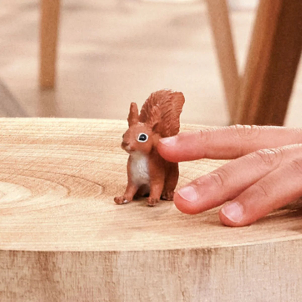 Squirrel