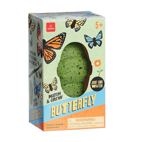 Hatch & Grow Butterfly kit packaging showing a green egg with butterfly illustrations and instructions to add water for children aged 5 and up