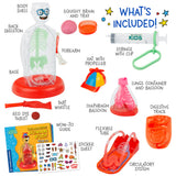 Transparent human body model with colorful removable organs, red base, educational guide, stickers, and interactive accessories
