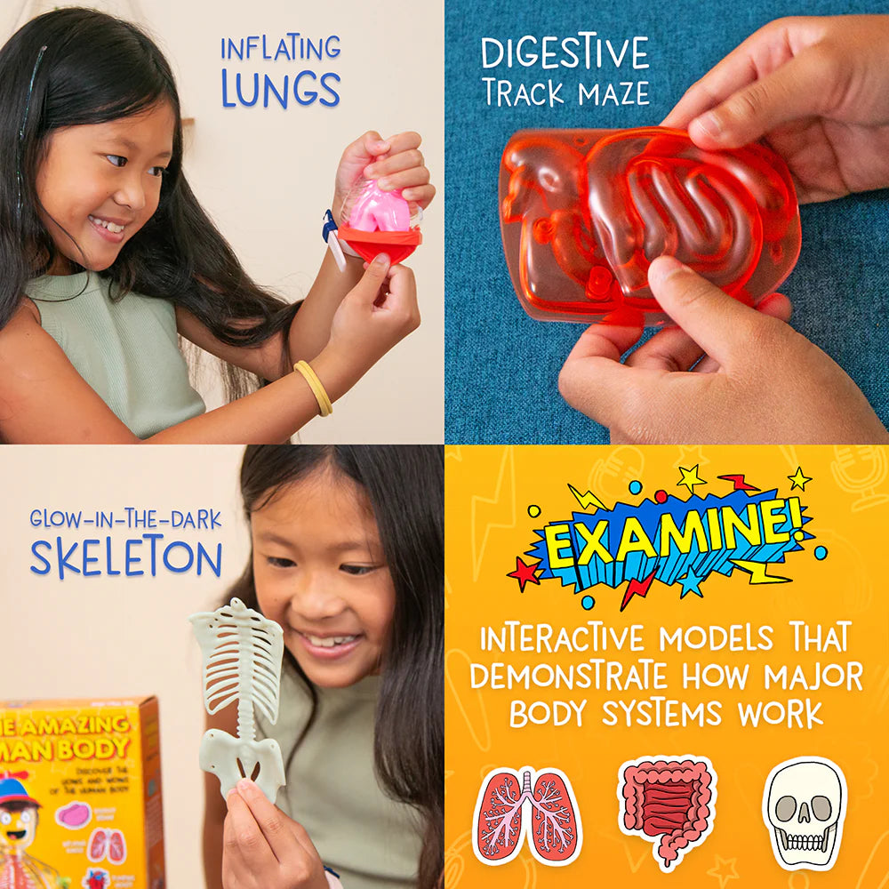 Girl playing with glowing skeleton and inflating lungs models alongside hands holding red digestive tract maze toy
