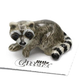 Little Critterz | Bandit the Raccoon