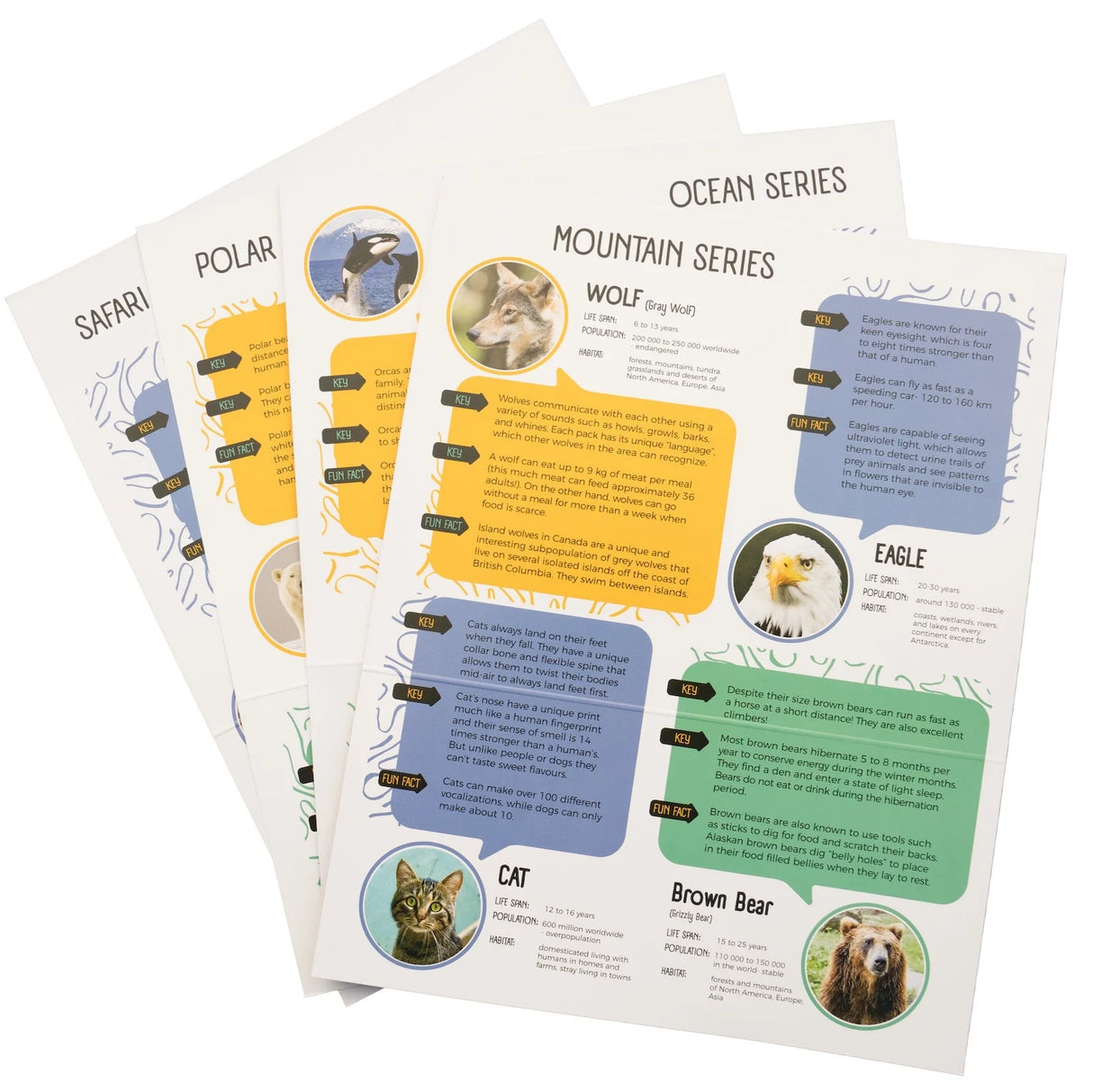 Soapstone Carving Kit | Polar Bear