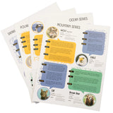Soapstone Carving Kit | Polar Bear