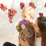 Baby teething on a purple grape-shaped natural rubber rattle toy held by a smiling woman with hanging grapes nearby