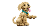 Icons Golden Retriever Puppy