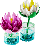 Botanicals Water Lilies with vibrant pink and white blooms in clear aquatic display containers