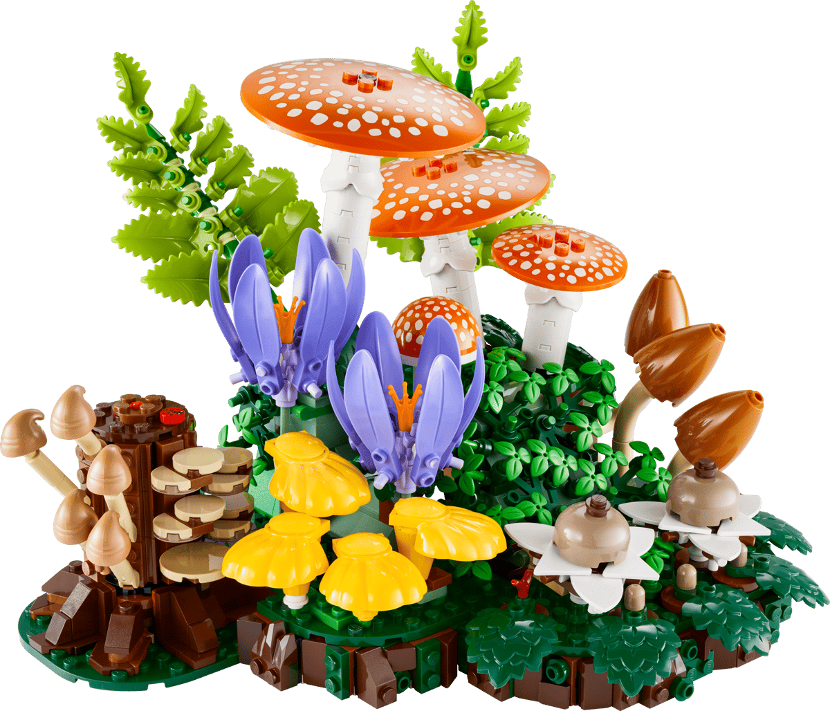 Botanicals Woodland Mushrooms colorful woodland scene with vibrant mushrooms and flowers