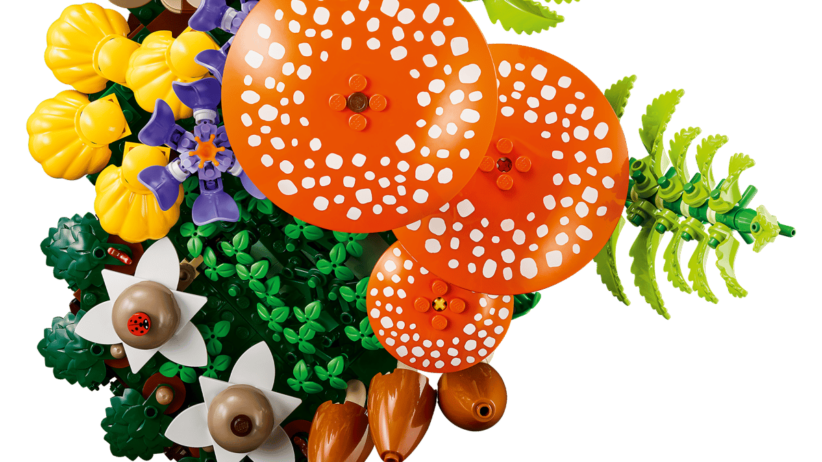Botanicals Woodland Mushrooms colorful woodland mushroom and forest botanical arrangement