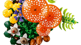 Botanicals Woodland Mushrooms colorful woodland mushroom and forest botanical arrangement