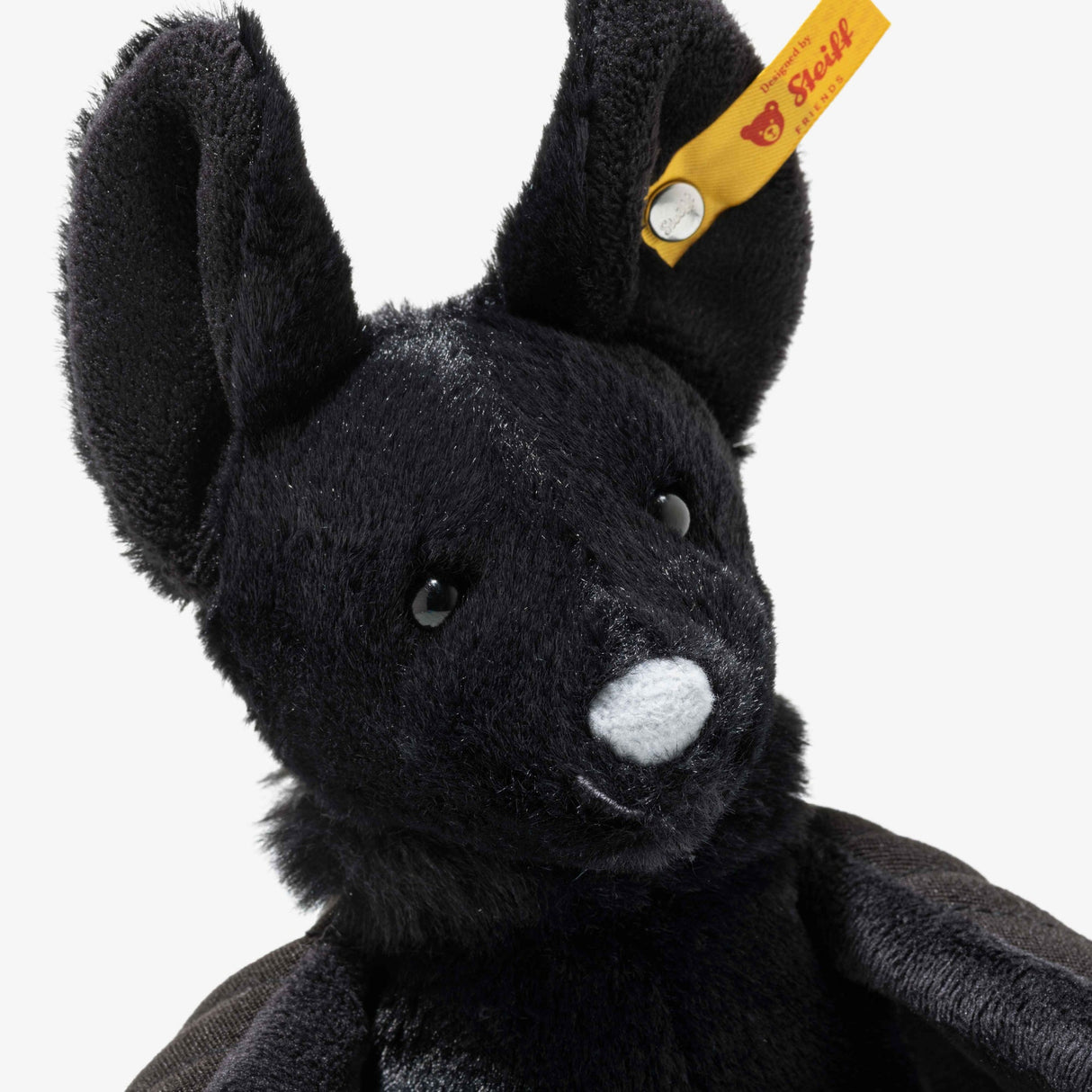 Boris the Spooky Bat