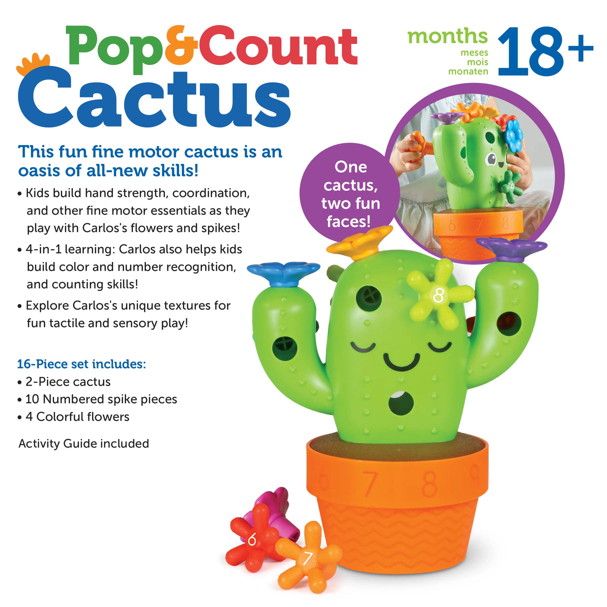 Carlos the Pop & Count Cactus