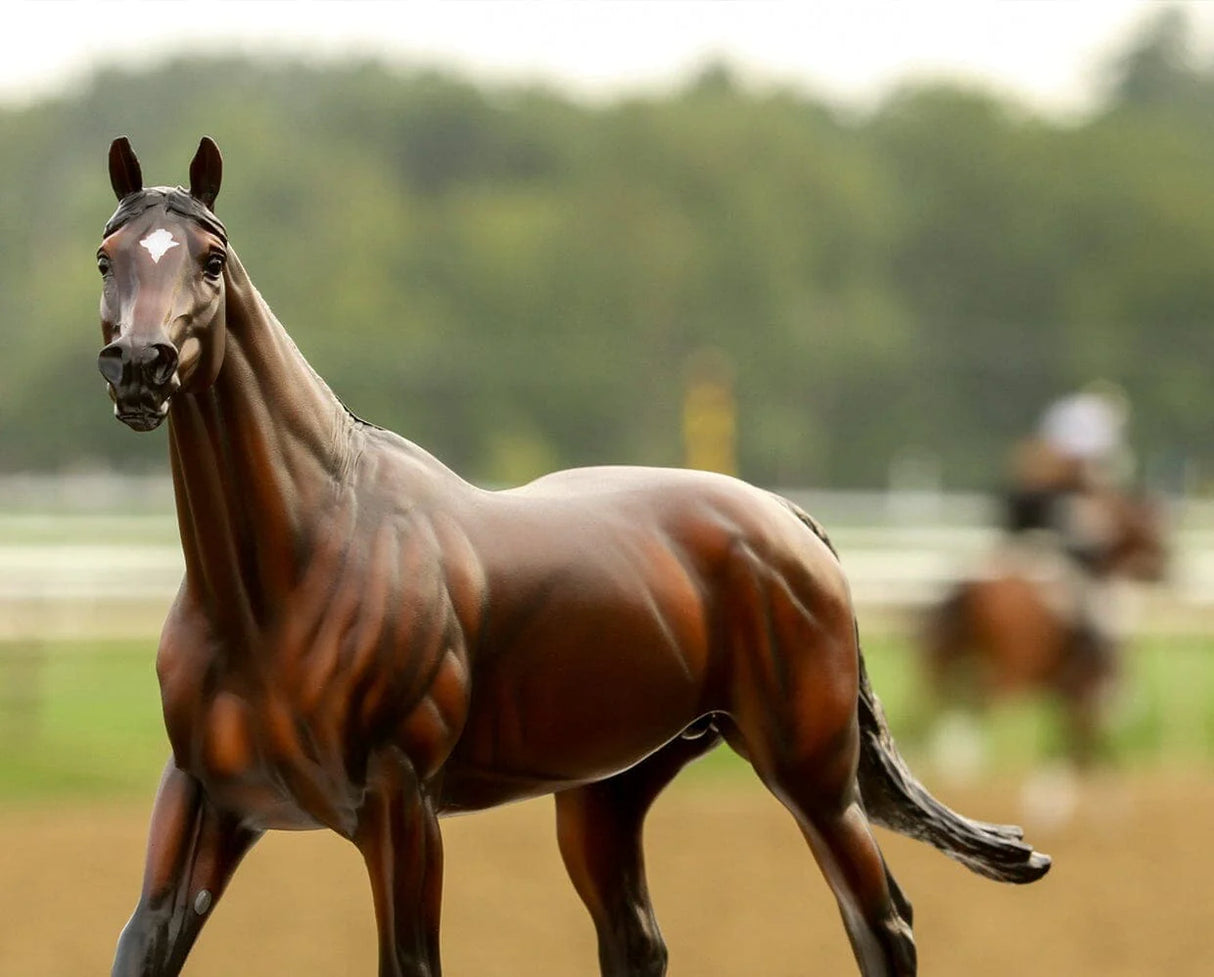Bay Thoroughbred stallion standing alert on racetrack with blurred jockeys and trees in the background