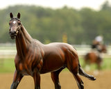Bay Thoroughbred stallion standing alert on racetrack with blurred jockeys and trees in the background