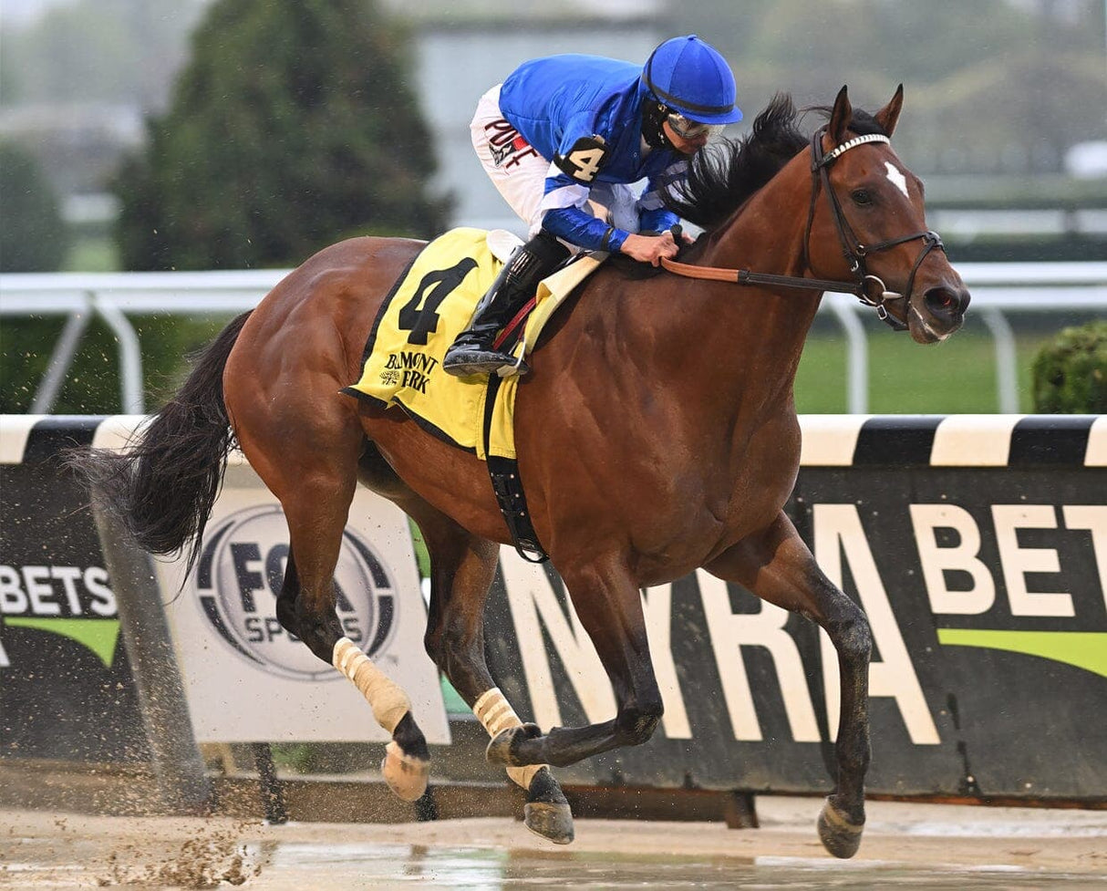 Bay Thoroughbred racehorse with jockey in blue silks racing on a track during a competitive event