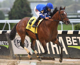 Bay Thoroughbred racehorse with jockey in blue silks racing on a track during a competitive event