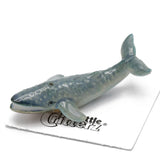 Little Critterz | Krill the Blue Whale