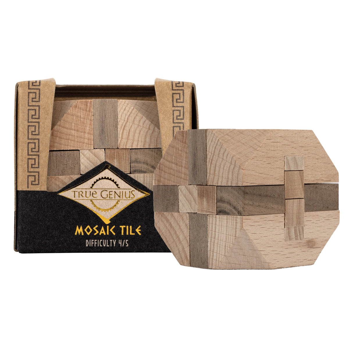 True Genius | Mini Puzzle