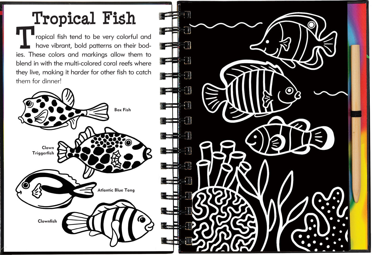 Scratch & Sketch | Under the Sea