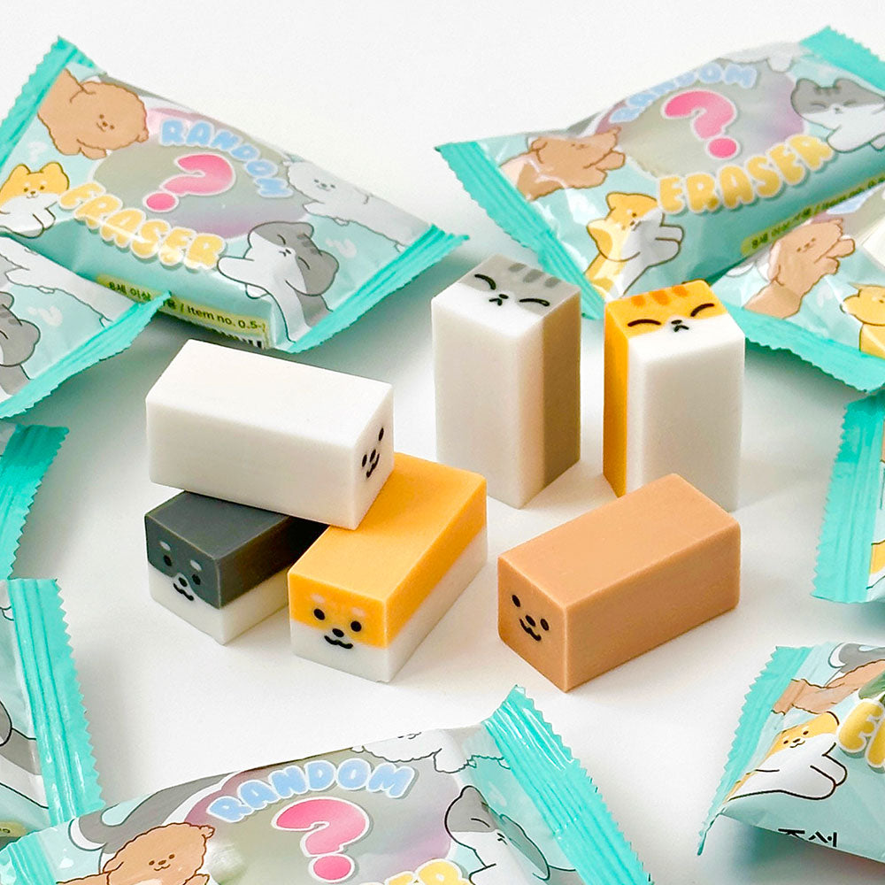 Set of colorful rectangular pet erasers with cute dog and cat faces surrounded by playful packaging bags