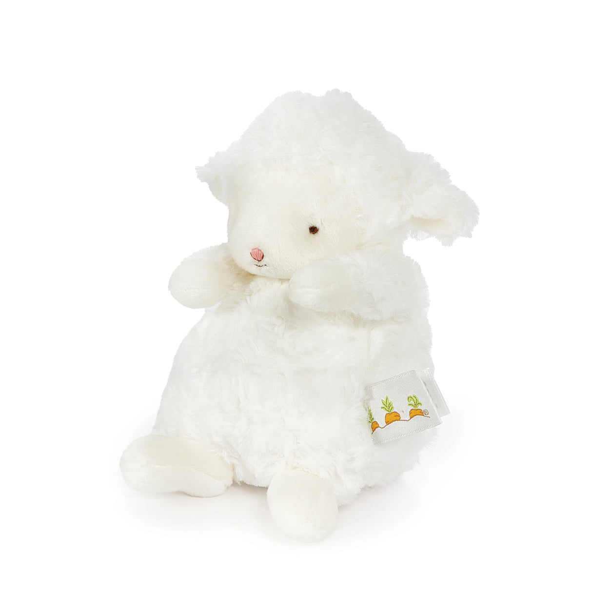 Wee Kiddo the Lamb