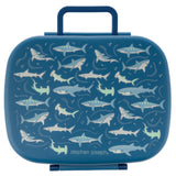 Bento Box with Tray | Shark