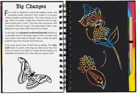 Scratch & Sketch | Bugs!