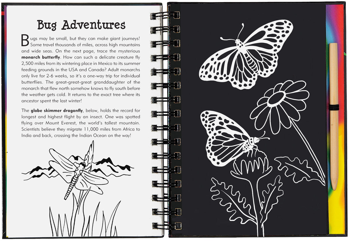 Scratch & Sketch | Bugs!