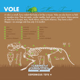Cabinet of Owl Pellets: Dissection Kit with illustrated vole skeleton and labeled anatomy diagram