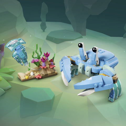 Creator Sea Animals: Beautiful Dolphins