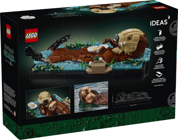 Ideas Floating Sea Otters