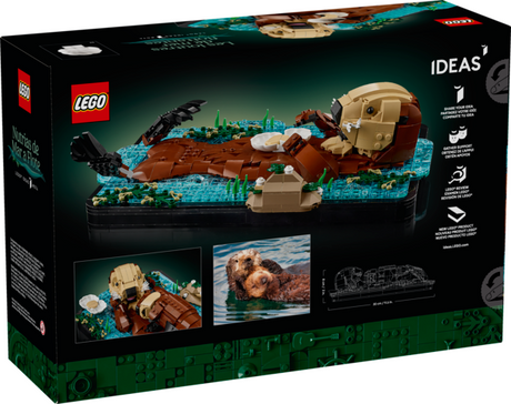 Ideas Floating Sea Otters