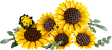 Botanicals Sunflower Bouquet