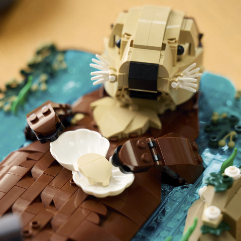 Ideas Floating Sea Otters