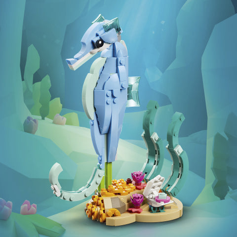 Creator Sea Animals: Beautiful Dolphins