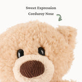 Close-up of a soft plush bear with a corduroy nose and sweet expression from the Littles collection