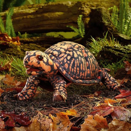 Box Turtle Puppet with a realistic patterned shell in a leafy forest setting