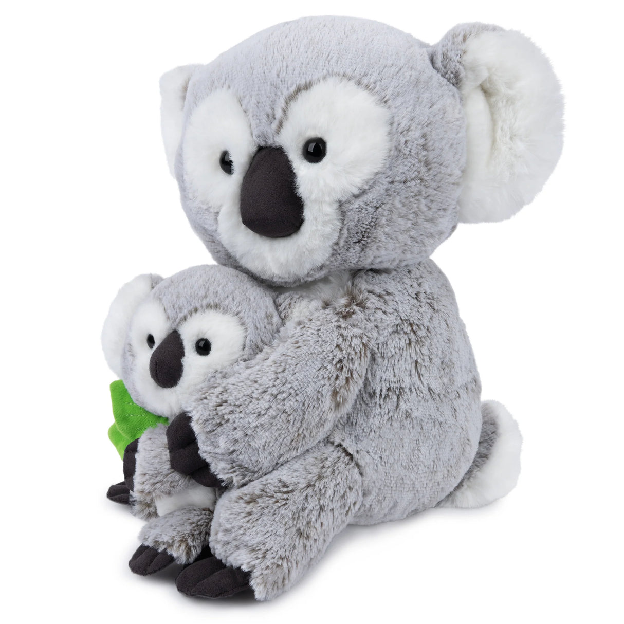 Koala Zozo & Cub