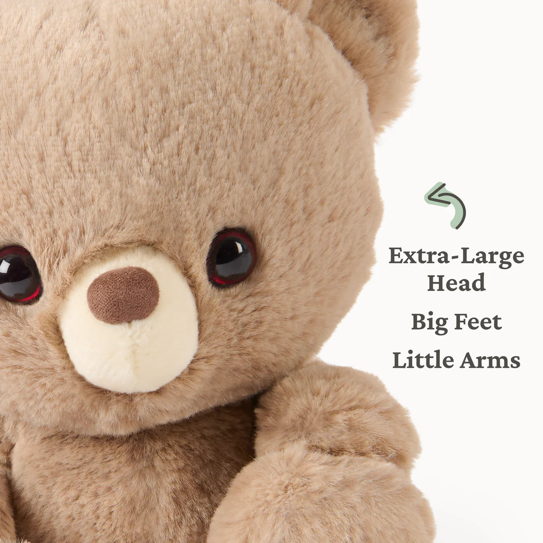 Close-up of a soft, small plush bear with an extra-large head, big feet, and little arms in light brown color