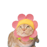 Cat Cap Blind Box | Flower