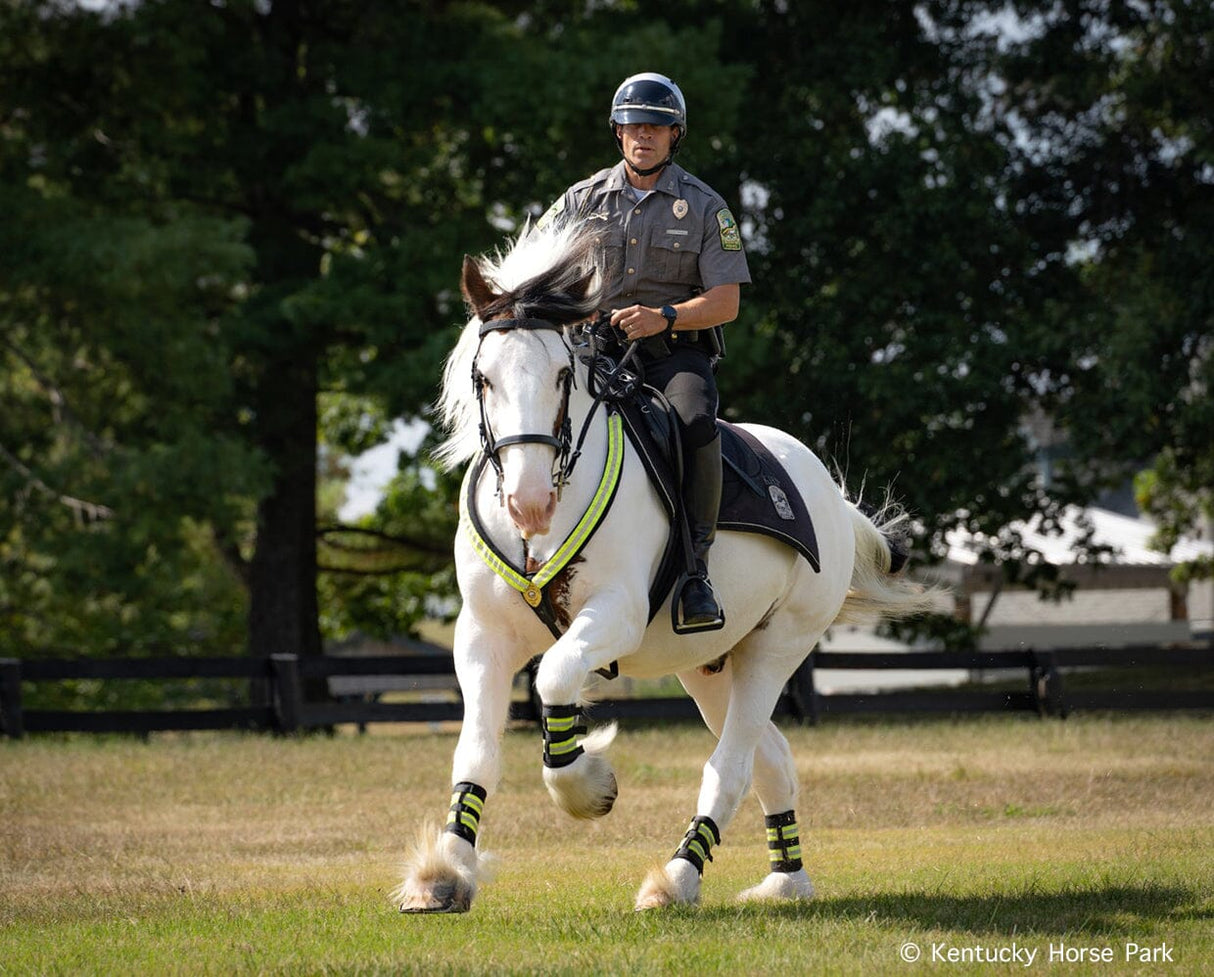 Hytyme Legend Kentucky Horse Park Police Horse