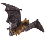 Fruit Bat