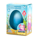 Grow Axolotl packaging showing a blue egg with instructions to hatch and grow a magical axolotl by adding water.
