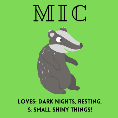 Illustration of a cute badger named Mic with a green background and playful text about its favorite things.