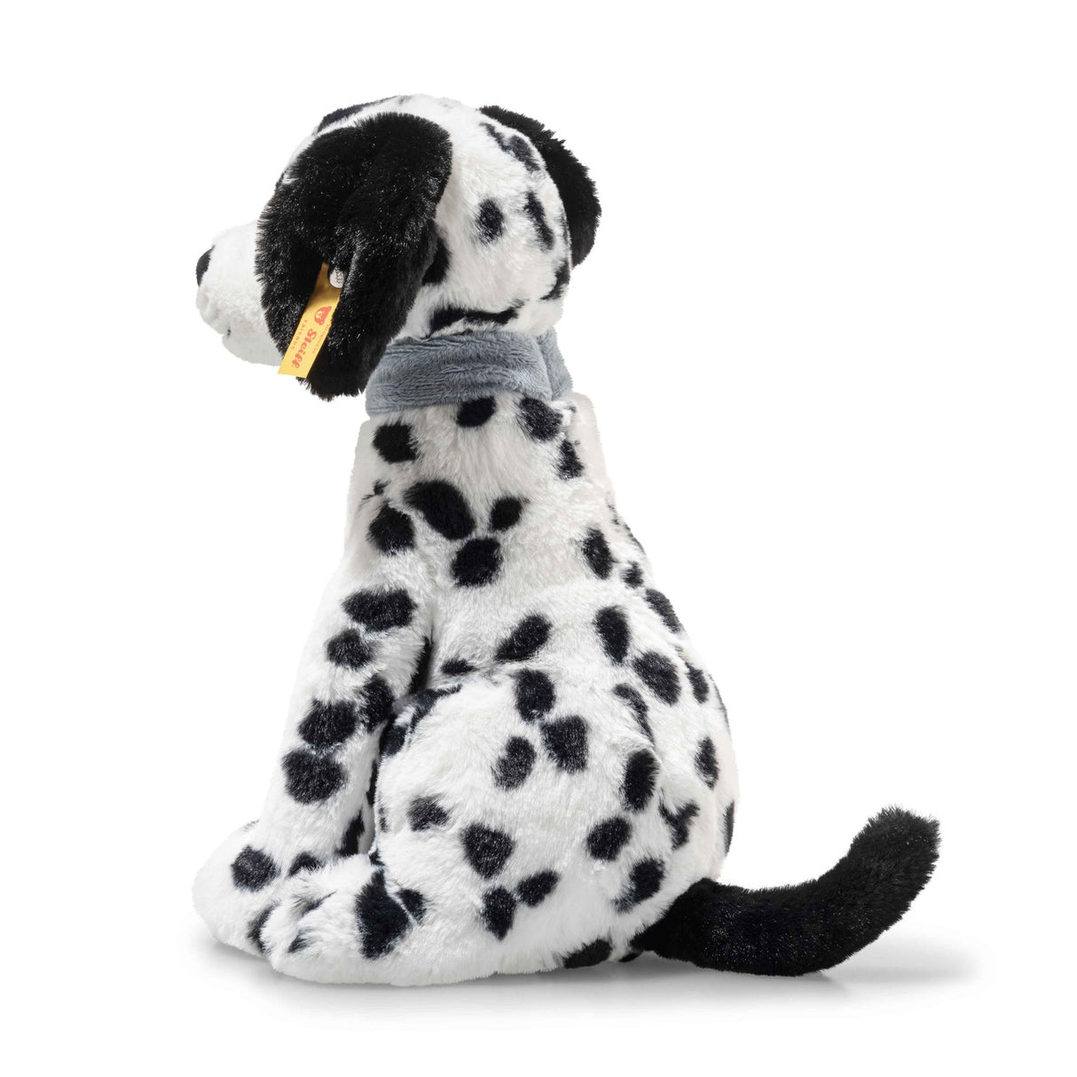 Dalmation Oskar Sitting