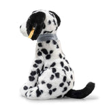 Dalmation Oskar Sitting
