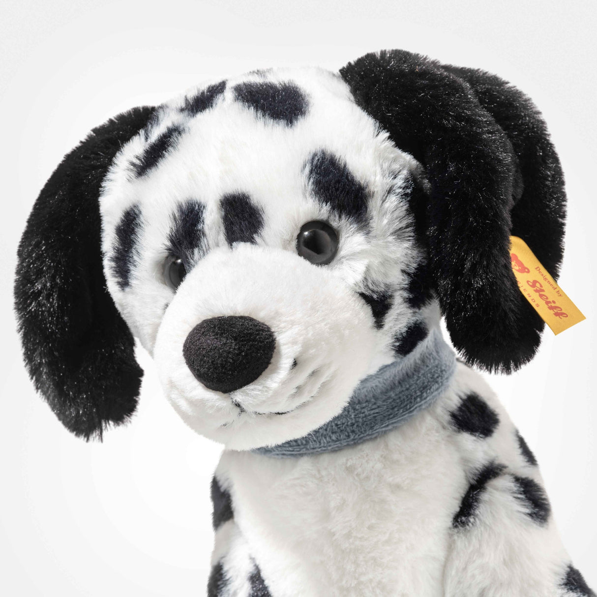 Dalmation Oskar Sitting