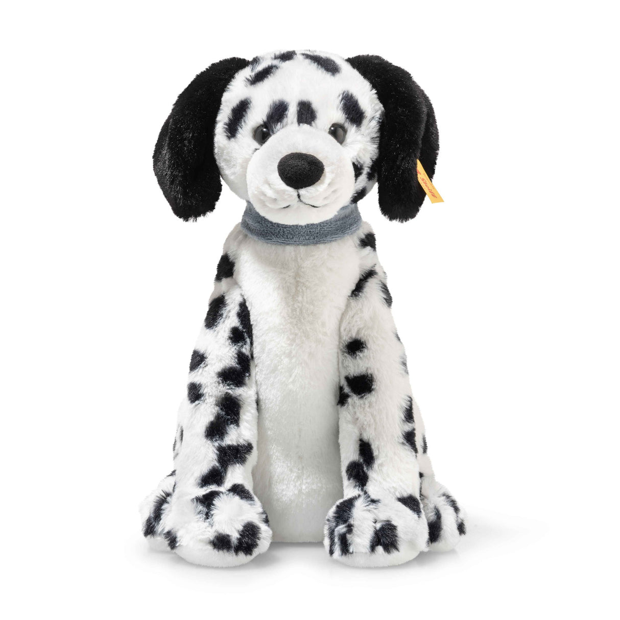 Dalmation Oskar Sitting